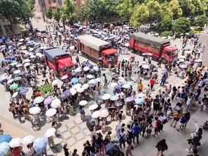 大学毕业吃瓜视频,揭秘校园里的那些“瓜”