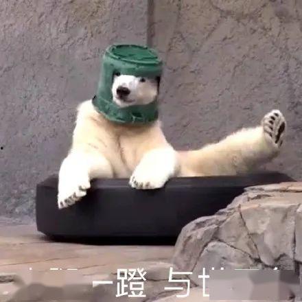 吃瓜看沙雕视频制作工具,吃瓜娱乐两不误