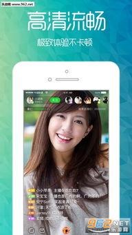 来宾吃瓜新闻视频大全下载,来宾新闻视频大全下载解析