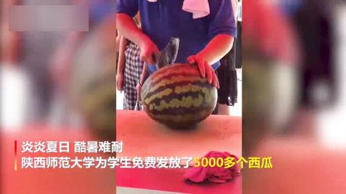 渭南师范吃瓜视频,校园生活新视角