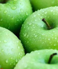 鸡吃吊瓜叶子会死吗视频,鸡食吊瓜叶致命真相揭秘