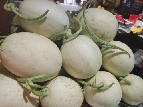 吃瓜官网蘑菇视频,吃瓜官网的趣味短视频盛宴