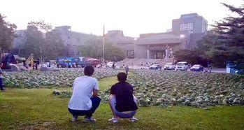 魏县罗庄吃瓜事件视频,一场引发热议的乡村冲突视频揭秘