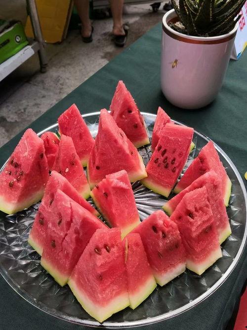 吃瓜群众试吃视频大全,吃瓜群众带你尝遍人间美味