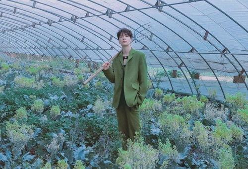 张艺兴夏日吃瓜图集视频,甜蜜瞬间与趣味花絮大揭秘