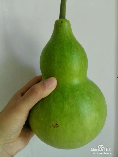 葫芦瓜咋晒干吃的视频,传统风味新体验