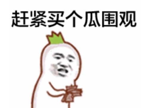 玫瑰吃瓜群众视频大全下载,视频大全下载，揭秘热门话题背后的故事