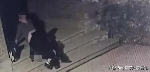 吃瓜爆料视频观看全集完整版,全集内容深度解析