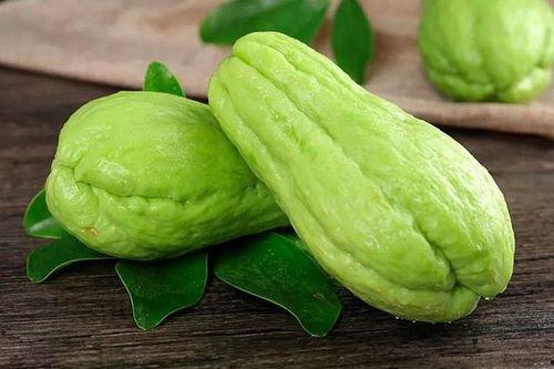 宝宝吃瓜菜视频教程大全,瓜菜视频教程大全解析